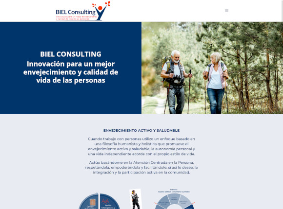 Biel Consulting